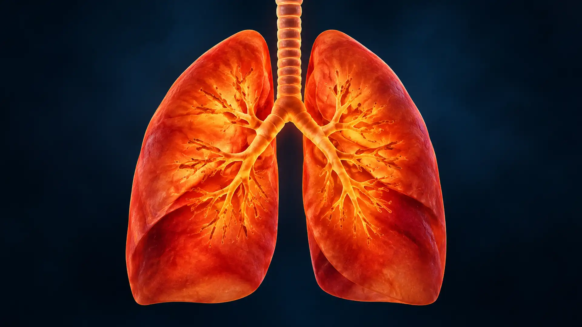 admilparant-lung-drug-shows-success-at-lower-dose-in-trial