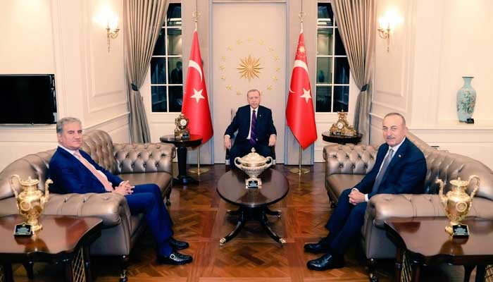 fm-qureshi-discusses-palestine-crisis-with-turkish-president-tayyip-erdogan