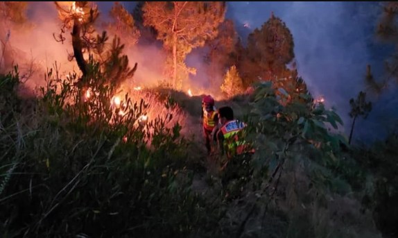 four-killed-as-wildfire-rages-across-shangla-forests