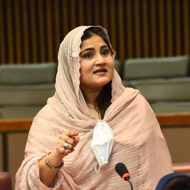 gda-announces-to-oppose-judicial-reforms-bill