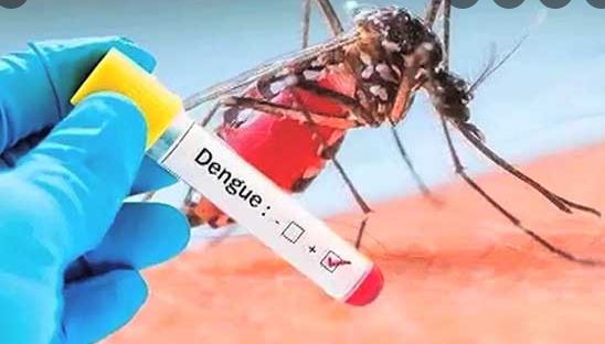 islamabad-reports-128-more-cases-of-dengue-in-last-24-hours