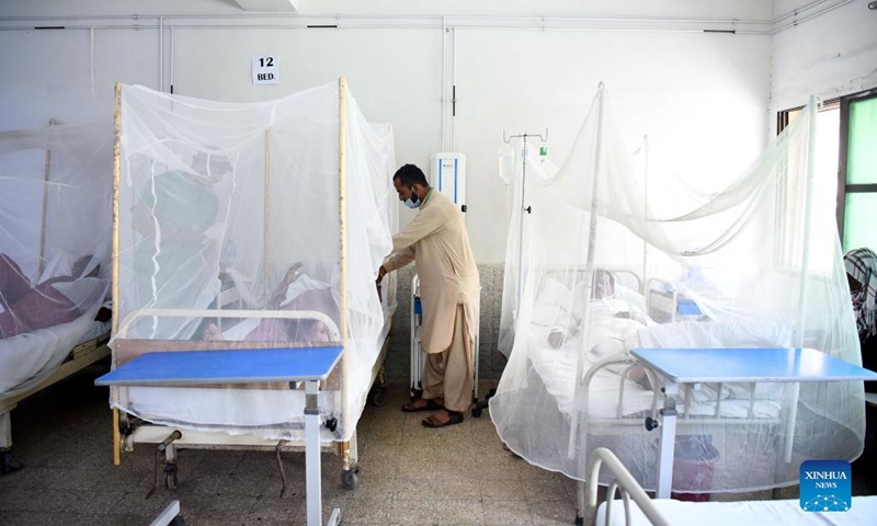 islamabad-reports-48-dengue-cases-in-24-hours