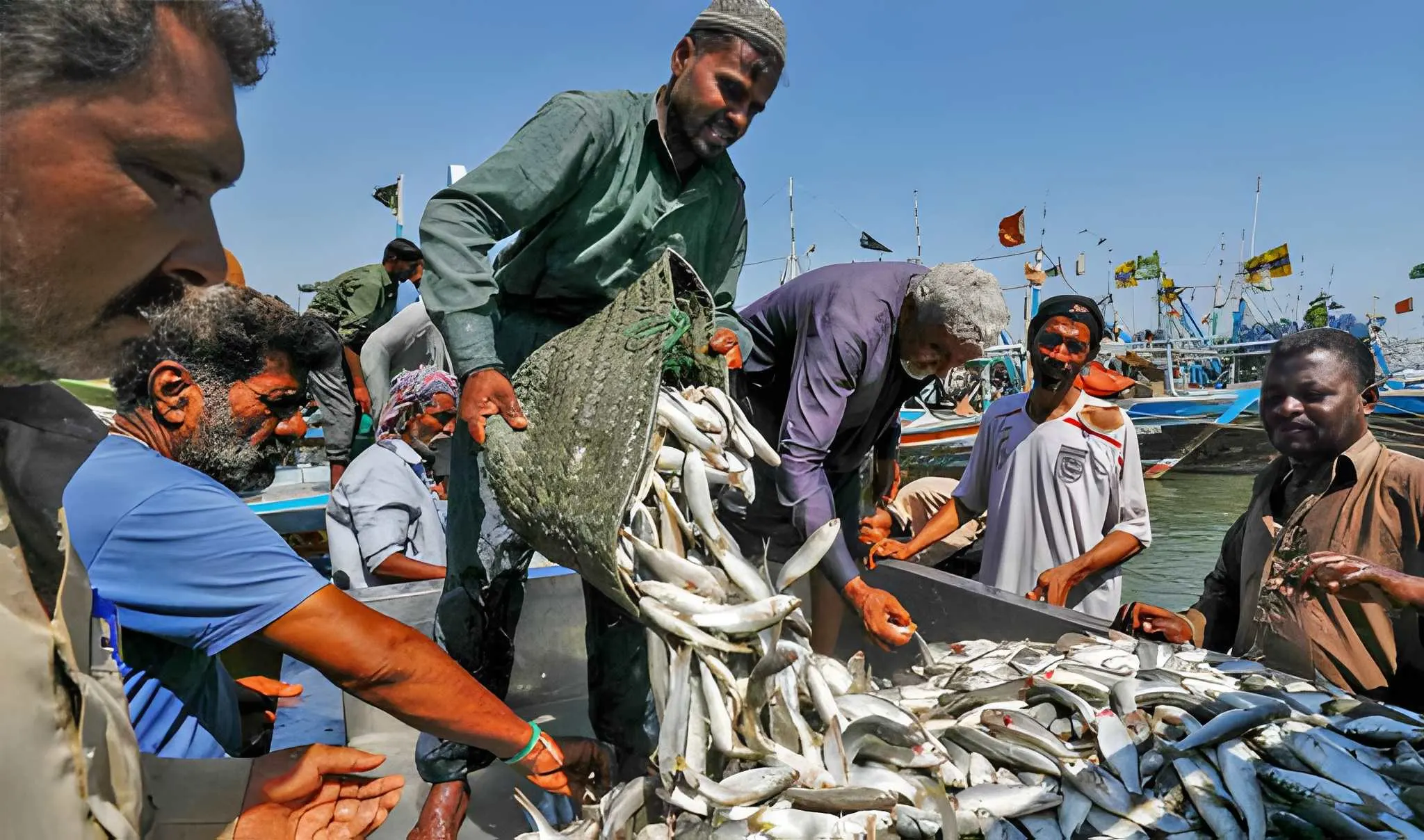 pakistan-seafood-exports-hit-record-568m