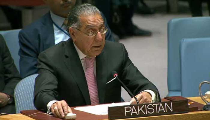 pakistan-watchful-but-not-concerned-as-india-assumes-unsc-presidency-says-munir-akram
