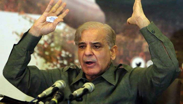 pm-gives-nro-to-himself-by-bringing-nab-amend-ordinance-says-shehbaz-sharif