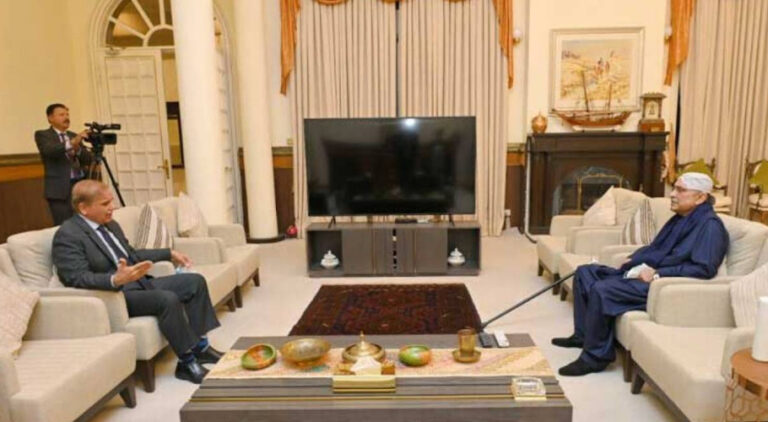 pm-shehbaz-asif-zardari-discuss-country-s-political-situation