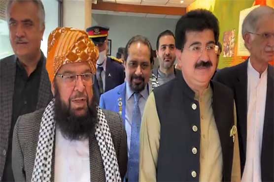 pti-offers-jui-f-deputy-chairman-senate-post