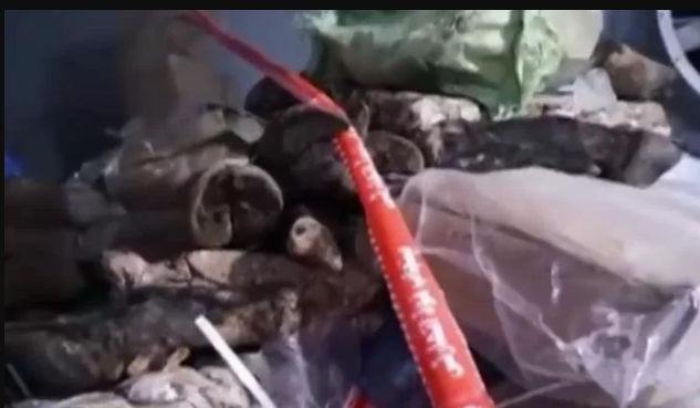 punjab-food-authority-seizes-three-year-old-meat-from-lahore-hotel