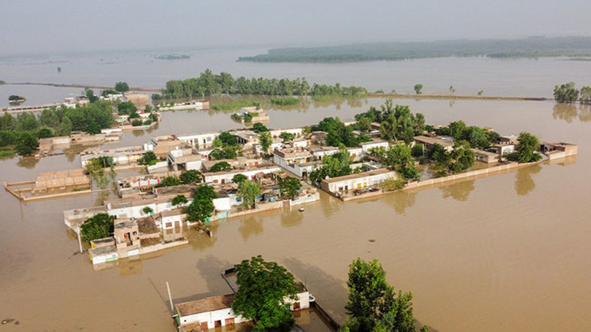 who-to-rehabilitate-activate-50-hospitals-in-flood-hit-areas-of-kp