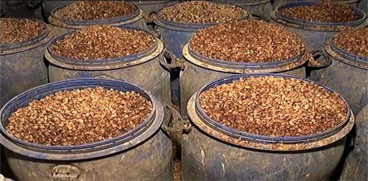rangers-foil-bid-to-smuggle-drugs-betel-nuts-worth-rs20-million