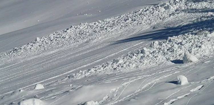 two-german-tourists-killed-in-norway-avalanche