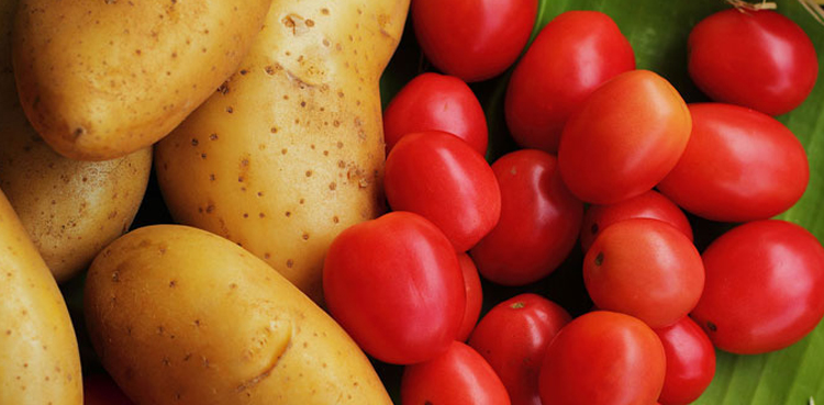 no-ban-on-the-export-of-tomatoes-potatoes-imposed