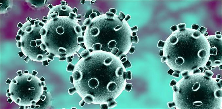 china-reports-drop-in-coronavirus-cases-2