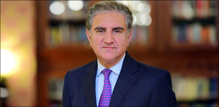 our-first-defence-line-is-doctors-paramedics-says-shah-mehmood-qureshi