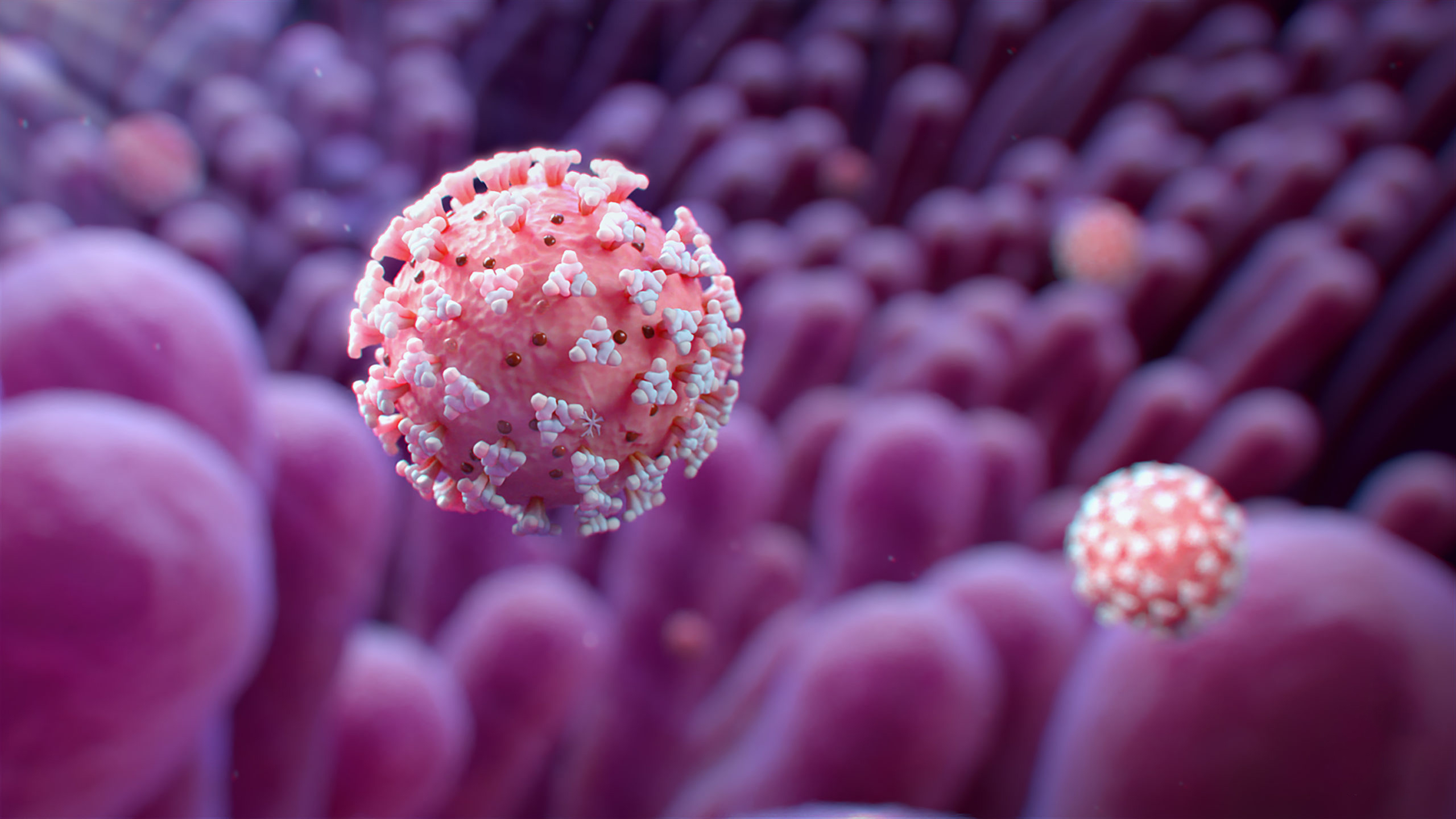 covid-19-reported-3795-cases-and-37-deaths-reported-in-24-hrs