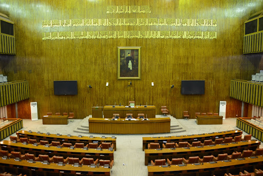 opposition-in-senate-rejects-nepra-inquiry-into-a-power-outage
