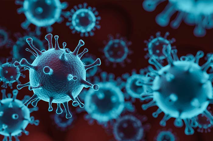 pakistan-reports-over-2400-coronavirus-cases-in-one-day