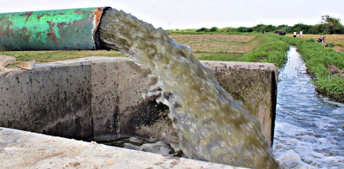 shc-orders-action-against-the-use-of-sewage-for-vegetable-cultivation