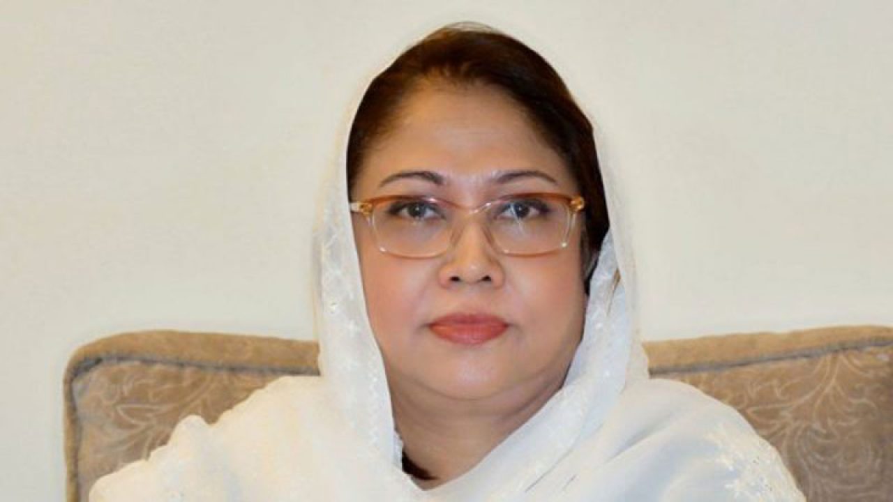ecp-rejects-faryal-talpurs-plea-to-quash-disqualification-case